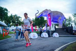 BIB: 
                            <button type="button" onclick="openModal(26551755)" class="btn btn-primary btn-sm float-right btn-popup" data-toggle="modal" data-target=".modal-high-quality">
                        <i class="fas fa-shopping-cart"></i> Add to Cart
                    </button>
                                            <button type="button" onclick="isThisMe(26551755, true)" class="btn btn-success btn-sm float-right btn-popup btn-isme hidden" data-toggle="tooltip" data-placement="bottom" title="นี่คือรูปของคุณใช่ไหม คลิกที่นี่เพื่อเอาเข้าอัลบั้ม">
                        <i class="fas fa-plus"></i> Add to album
                    </button>
                    <button type="button" onclick="isThisMe(26551755, false)" class="btn btn-warning btn-sm float-right btn-popup btn-isnotme hidden">
                        <i class="fas fa-ban"></i> Remove from album
                    </button>